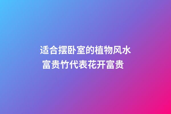 适合摆卧室的植物风水 富贵竹代表花开富贵